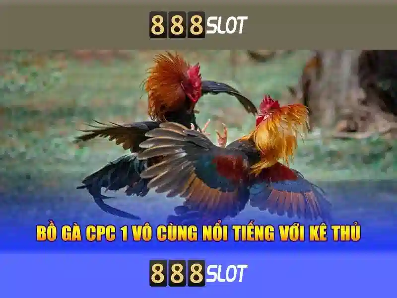 Khuyến mãi và chương trình thưởng Khuyến mãi và chương trình thưởng