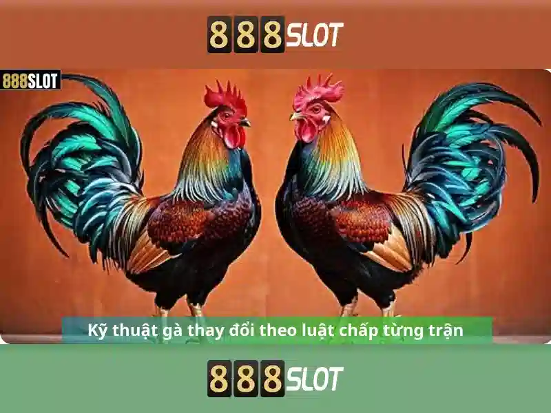 Trò chơi và tính năng nổi bật<p>Danh mục trò chơi của 888slot bao gồm các máy slot cổ điển, video slot hiện đại và các tựa game có thưởng hấp dẫn, cùng với các vòng quay miễn phí, bonus và jackpot lớn.</p><h3>An toàn và thanh toán</h3><p>Nền tảng đảm bảo an toàn thông tin với các phương thức thanh toán linh hoạt, nhanh chóng và dễ sử dụng, đồng thời đảm bảo bảo mật cho người dùng.</p>