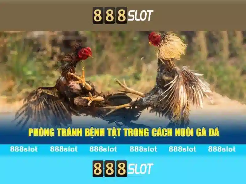 Khuyến mãi và chương trình thưởng Khuyến mãi và chương trình thưởng