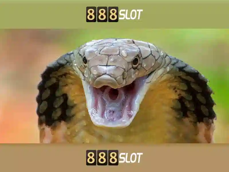 Các sản phẩm và dịch vụ cốt lõi của 888slots erfahrungen