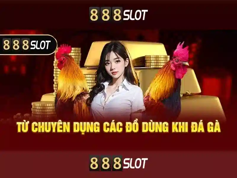 Giới thiệu về 888slot