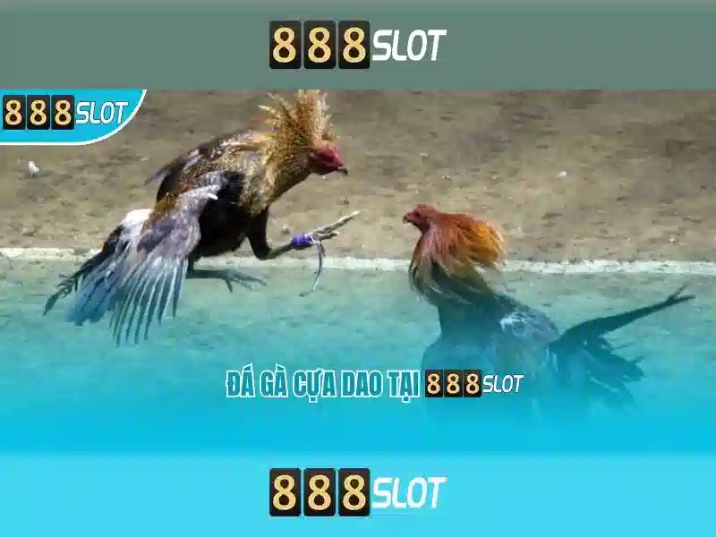 Trải nghiệm người dùng và phản hồi cộng đồng