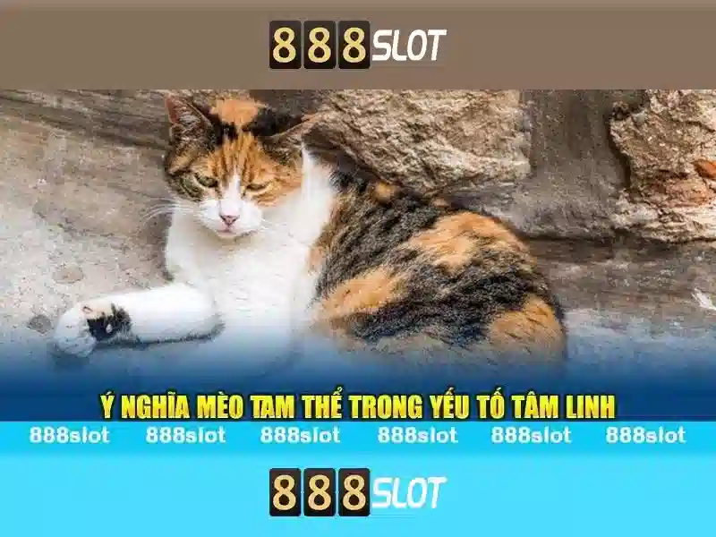 Cách đăng ký và thưởng