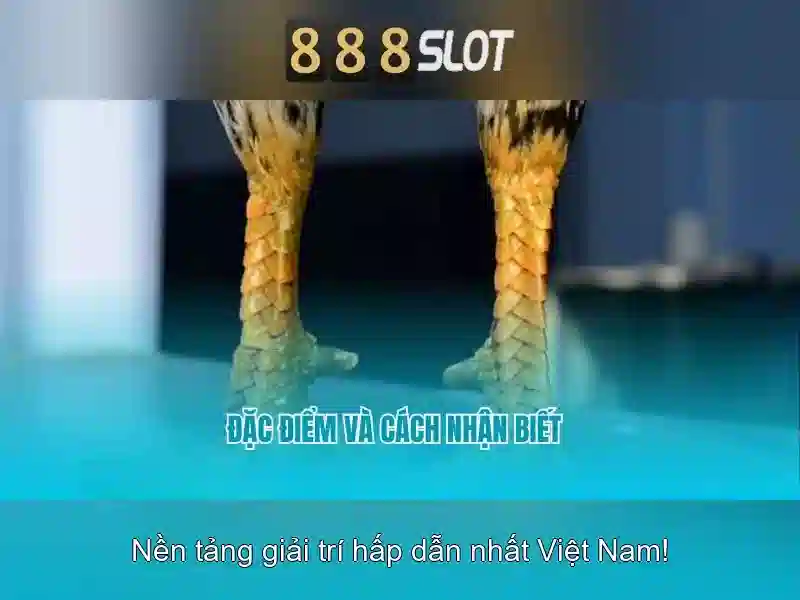 <!--IMG_PLACEHOLDER alt>Sản phẩm và dịch vụ cốt lõi - ứng dụng thực tế xoay quanh pg slot 888-->