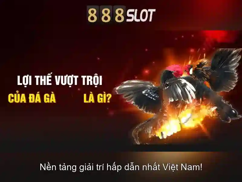 Tong_quan_mami_slot_888