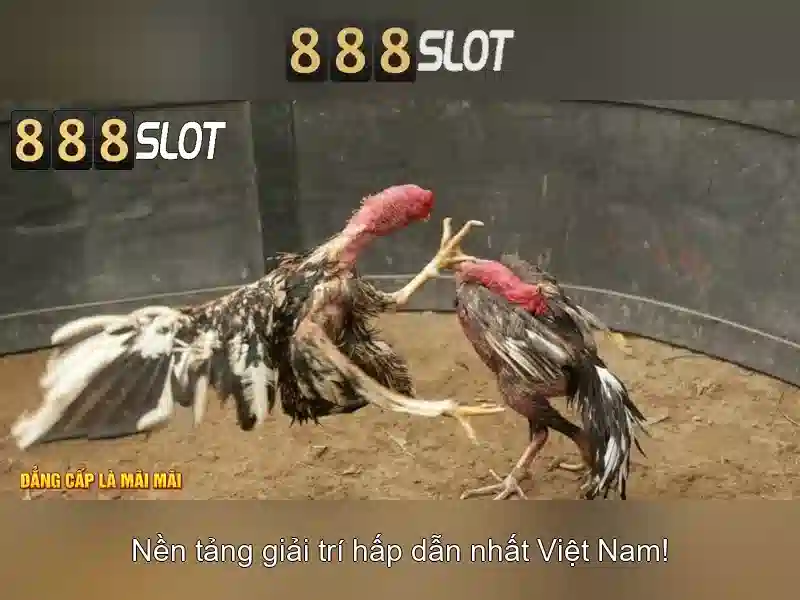 An toàn và hỗ trợ
