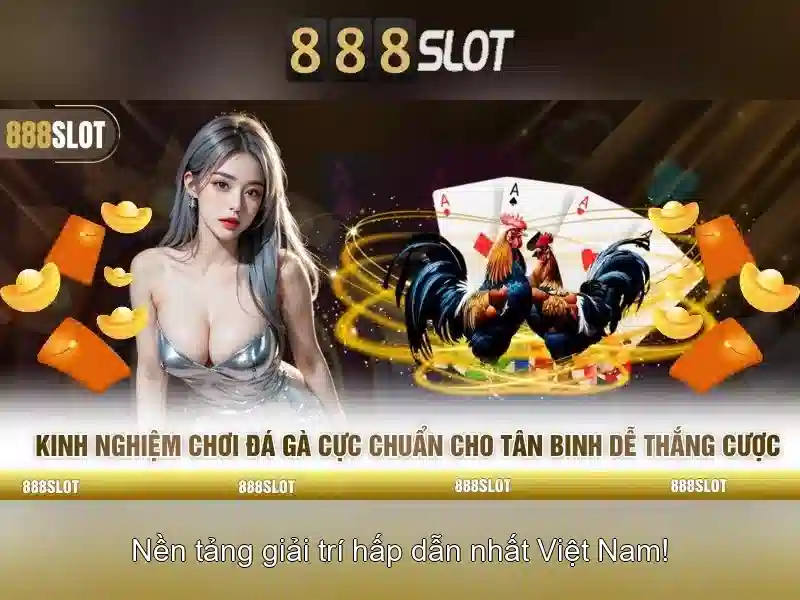 Hướng dẫn tham gia