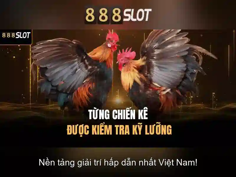 Trải nghiệm người dùng và giao diện