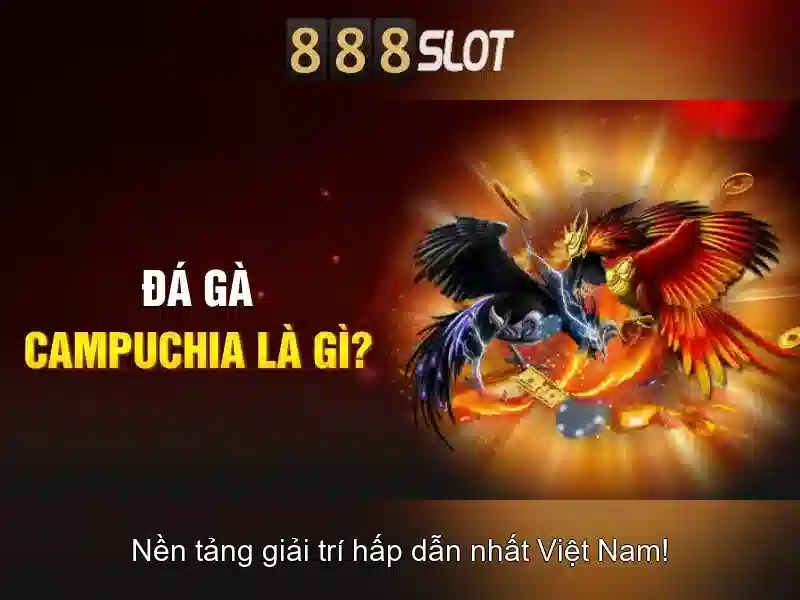 Khuyến mãi và ưu đãi